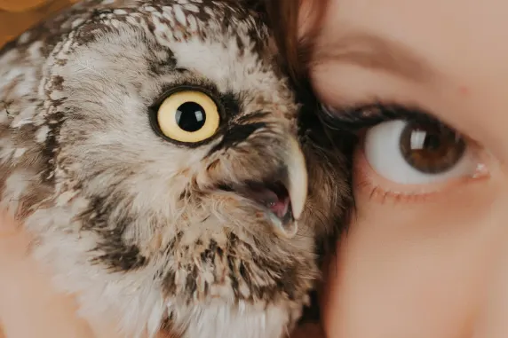 카지노 팰리스 오브 챈스 지원